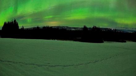 Homer Alaska Northern Lights Live Cam - Feb 21, 2026, 11:41pm AKST