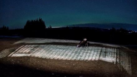 Homer Alaska Northern Lights Live Cam - Dec 22, 2025, 9:49pm AKST