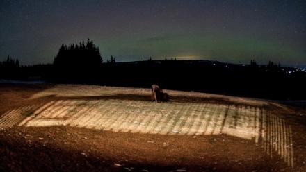 Homer Alaska Northern Lights Live Cam - Dec 15, 2025, 9:45pm AKST