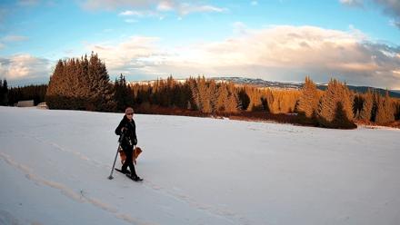Homer Alaska Northern Lights Live Cam - Feb 2, 2026, 8:14pm AKST