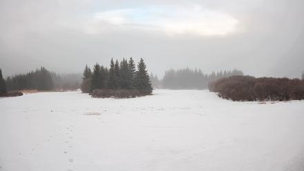 Homer Alaska Northern Lights Live Cam - Jan 26, 2026, 12:18pm AKST