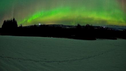 Homer Alaska Northern Lights Live Cam - Feb 22, 2026, 12:41am AKST