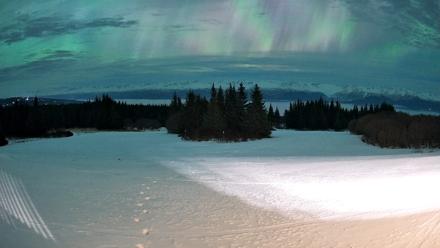 Homer Alaska Northern Lights Live Cam - Jan 20, 2026, 2:02am AKST