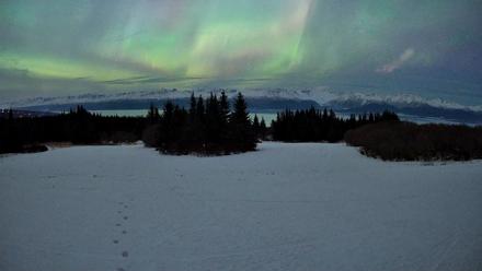 Homer Alaska Northern Lights Live Cam - Jan 20, 2026, 11:05pm AKST