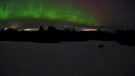 Homer Alaska Northern Lights Live Cam - Feb 19, 2026, 3:36am AKST