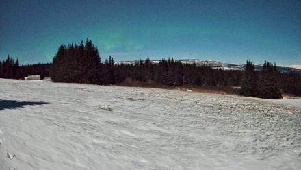 Homer Alaska Northern Lights Live Cam - Jan 2, 2026, 2:48am AKST