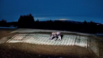 Homer Alaska Northern Lights Live Cam - Dec 25, 2025, 7:46pm AKST