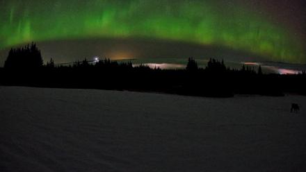 Homer Alaska Northern Lights Live Cam - Feb 19, 2026, 3:41am AKST