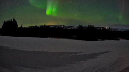 Homer Alaska Northern Lights Live Cam - Mar 22, 2026, 10:41pm AKDT