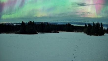 Homer Alaska Northern Lights Live Cam - Jan 20, 2026, 6:06am AKST