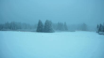 Homer Alaska Northern Lights Live Cam - Feb 10, 2026, 5:47pm AKST