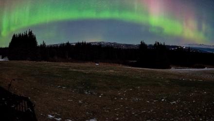 Homer Alaska Northern Lights Live Cam - Dec 12, 2025, 7:44am AKST