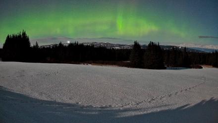 Homer Alaska Northern Lights Live Cam - Feb 25, 2026, 2:00am AKST