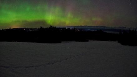 Homer Alaska Northern Lights Live Cam - Feb 22, 2026, 7:09am AKST