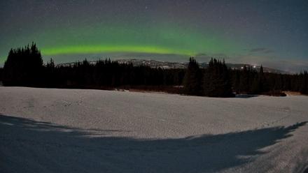 Homer Alaska Northern Lights Live Cam - Feb 24, 2026, 12:19am AKST