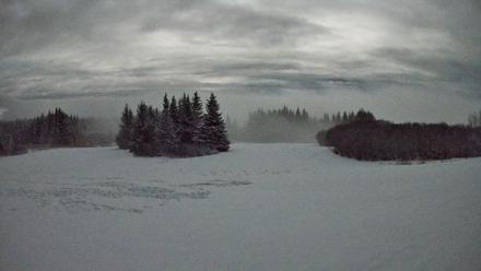 Homer Alaska Northern Lights Live Cam - Jan 6, 2026, 12:11am AKST