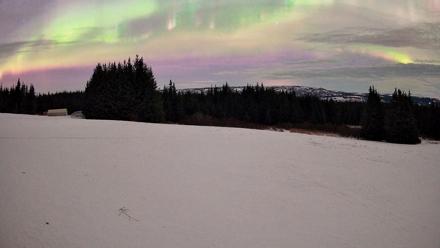 Homer Alaska Northern Lights Live Cam - Jan 21, 2026, 2:01am AKST
