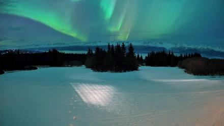 Homer Alaska Northern Lights Live Cam - Jan 20, 2026, 9:54pm AKST