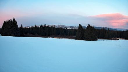 Homer Alaska Northern Lights Live Cam - Feb 19, 2026, 6:06pm AKST