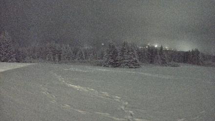 Homer Alaska Northern Lights Live Cam - Jan 12, 2026, 10:25pm AKST