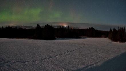 Homer Alaska Northern Lights Live Cam - Feb 24, 2026, 2:08am AKST