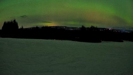 Homer Alaska Northern Lights Live Cam - Mar 22, 2026, 12:00am AKDT