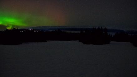 Homer Alaska Northern Lights Live Cam - Feb 15, 2026, 12:08am AKST