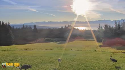 Homer Alaska Northern Lights Live Cam - Aug 27, 2026, 7:58am AKDT