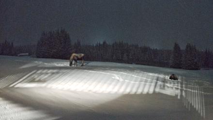 Homer Alaska Northern Lights Live Cam - Jan 5, 2026, 8:32pm AKST