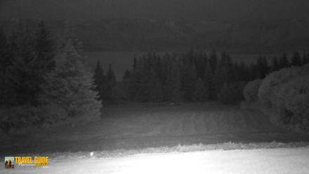 Homer Alaska Northern Lights Live Cam - Aug 10, 2026, 11:47pm AKDT