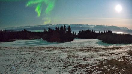 Homer Alaska Northern Lights Live Cam - Apr 1, 2026, 11:28pm AKDT