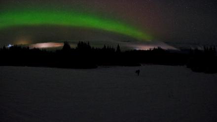 Homer Alaska Northern Lights Live Cam - Feb 19, 2026, 3:20am AKST