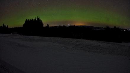 Homer Alaska Northern Lights Live Cam - Dec 28, 2025, 7:43am AKST