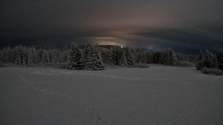 Homer Alaska Northern Lights Live Cam - Jan 12, 2026, 11:43pm AKST