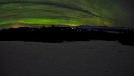 Homer Alaska Northern Lights Live Cam - Jan 24, 2026, 1:57am AKST