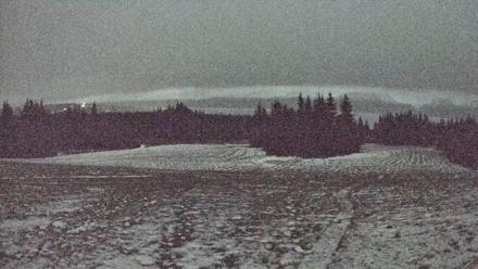 Homer Alaska Northern Lights Live Cam - Dec 2, 2025, 2:39am AKST