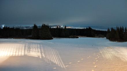 Homer Alaska Northern Lights Live Cam - Jan 25, 2026, 7:42pm AKST