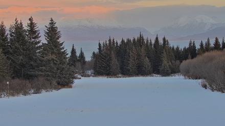 Homer Alaska Northern Lights Live Cam - Feb 19, 2026, 5:54pm AKST