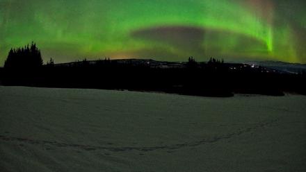 Homer Alaska Northern Lights Live Cam - Feb 22, 2026, 6:46am AKST