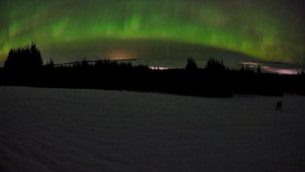 Homer Alaska Northern Lights Live Cam - Feb 19, 2026, 3:53am AKST
