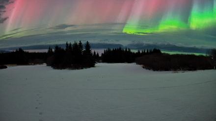 Homer Alaska Northern Lights Live Cam - Jan 20, 2026, 3:10am AKST