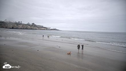 La Jolla Shores Live Surf Cam - May 24, 2026, 8:19am PDT