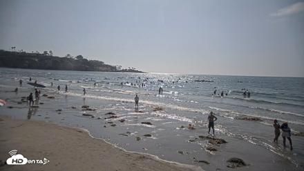 La Jolla Shores Live Surf Cam - Aug 11, 2026, 4:28pm PDT