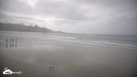 La Jolla Shores Live Surf Cam - Sep 23, 2026, 2:47pm PDT