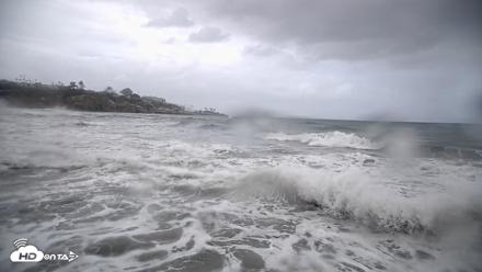 La Jolla Shores Live Surf Cam - Oct 11, 2026, 11:36am PDT