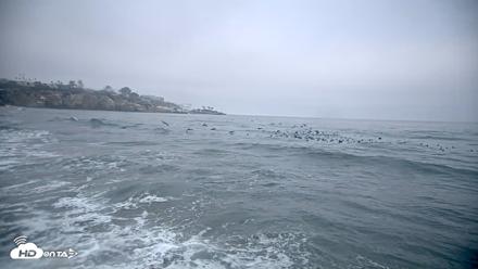 La Jolla Shores Live Surf Cam - Oct 8, 2026, 7:24am PDT