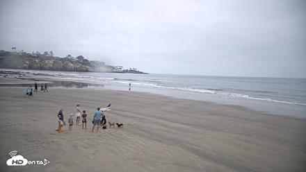 La Jolla Shores Live Surf Cam - Jul 31, 2026, 7:00am PDT