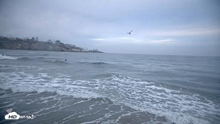 La Jolla Shores Live Surf Cam - Oct 10, 2026, 7:08am PDT