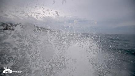 La Jolla Shores Live Surf Cam - Oct 10, 2026, 10:04am PDT