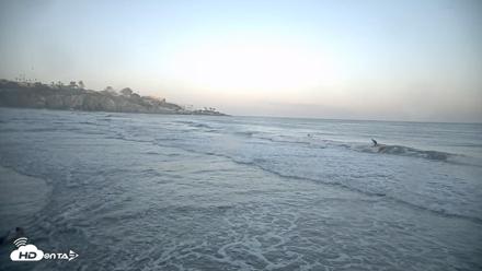 La Jolla Shores Live Surf Cam - Sep 29, 2026, 6:56am PDT